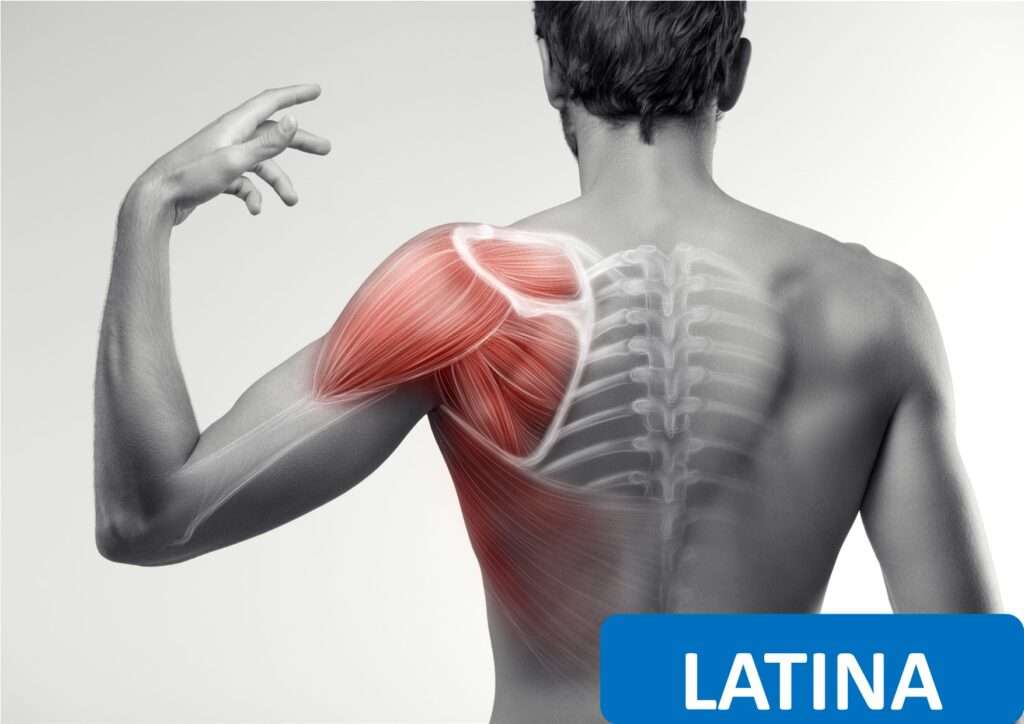 la spalla valutazione clinica e trattamento riabilitativo