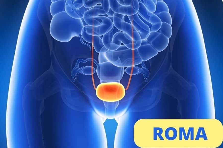 la riabilitazione del pavimento pelvico nell'incontinenza urinaria femminile e maschile