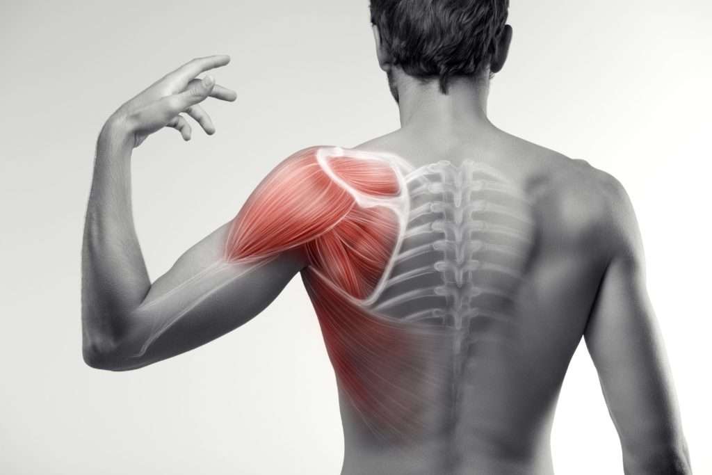 corsi ecm per fisioterapisti la spalla valutazione clinica e trattamento riabilitativo