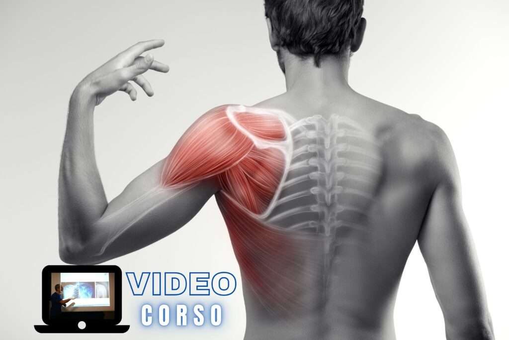 corsi ecm per fisioterapisti la spalla video corso
