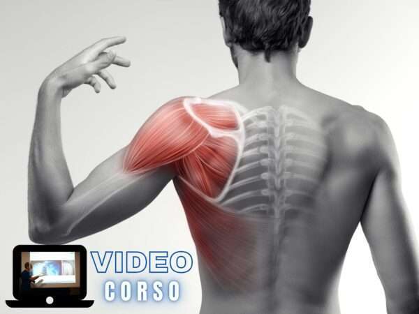corsi ecm per fisioterapisti la spalla video corso