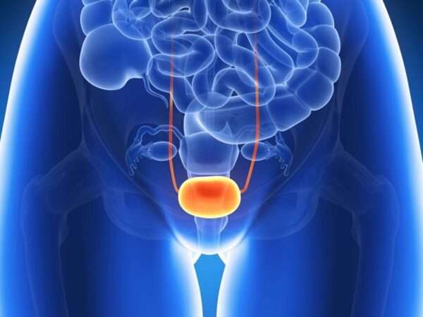 la riabilitazione del pavimento pelvico