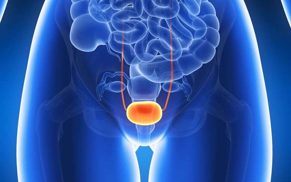 la riabilitazione del pavimento pelvico