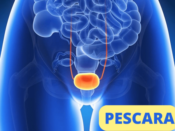 Riabilitazione del pavimento pelvico