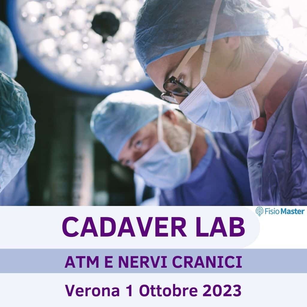cadaver lab atm e nervi cranici