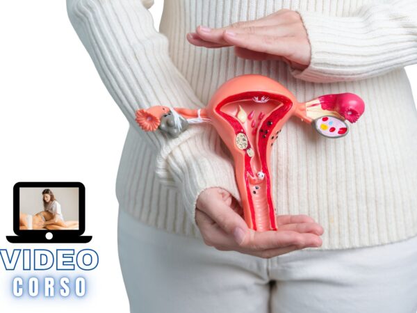 Endometriosi Endometriosi ed Osteopatia tecniche e approccio riabilitativo video corso